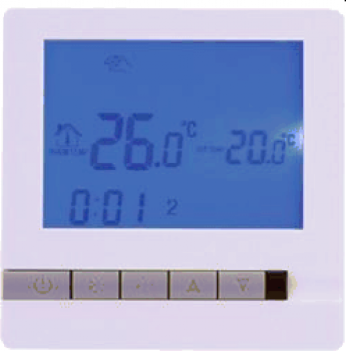 81